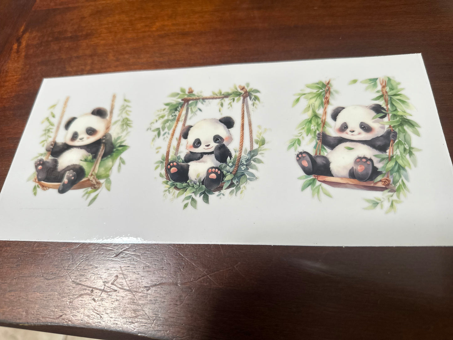 Panda bears