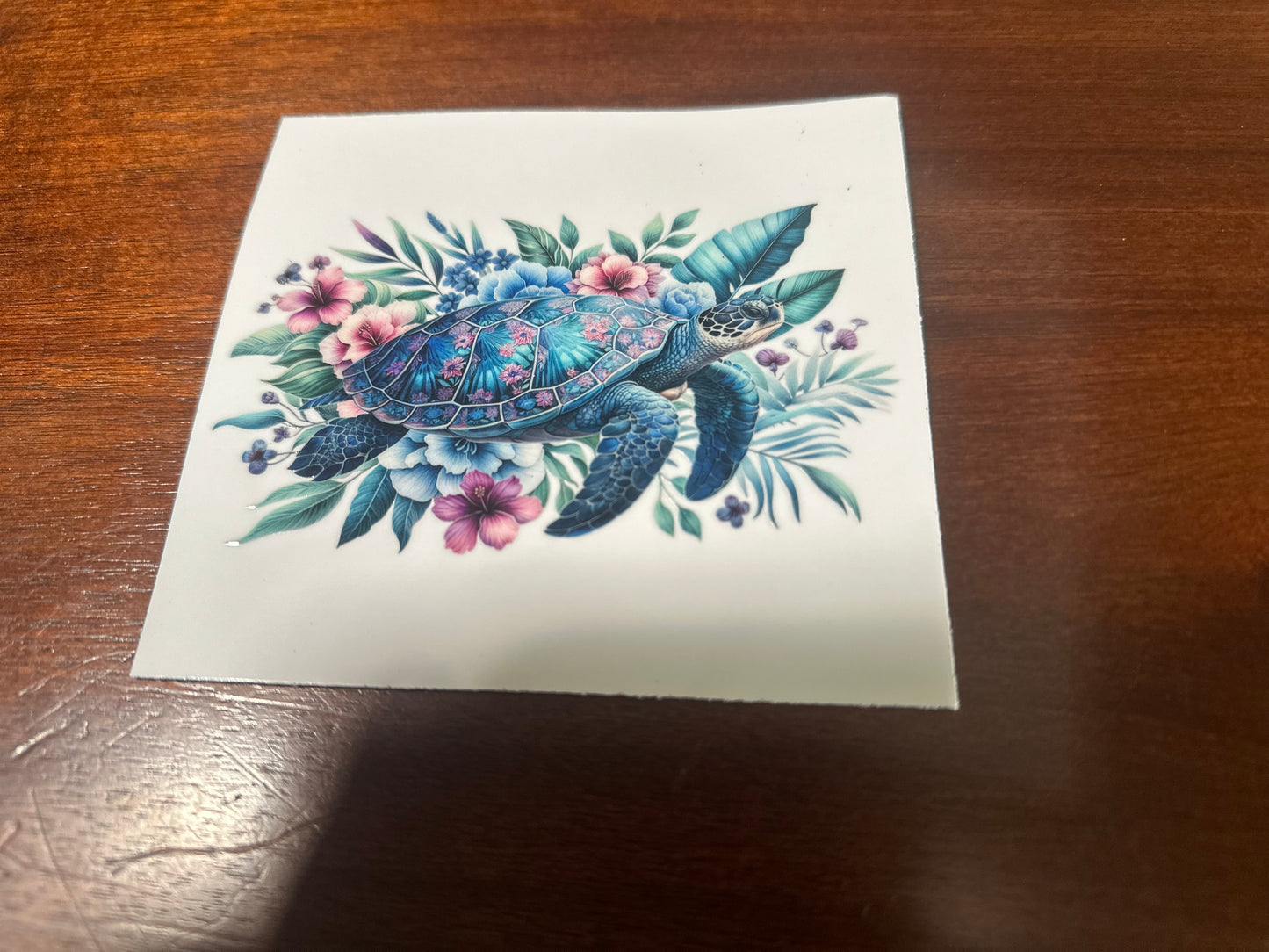 Sea turtles