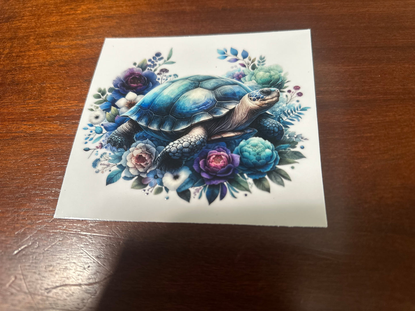 Sea turtles