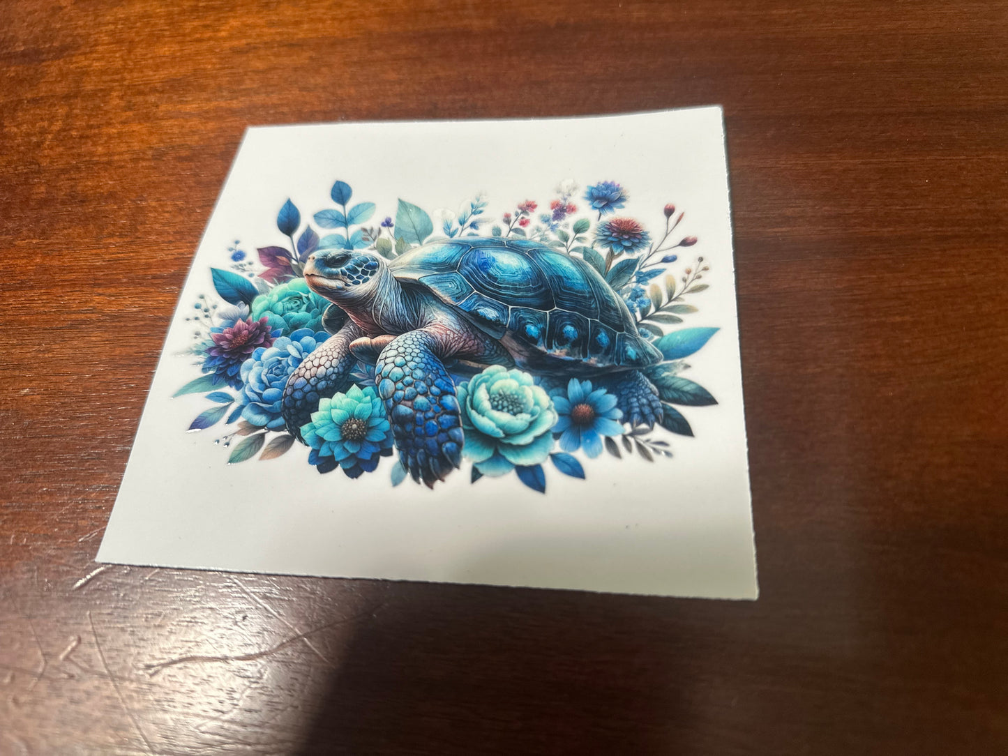 Sea turtles