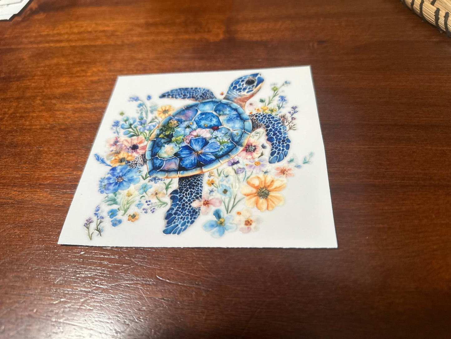 Sea turtle