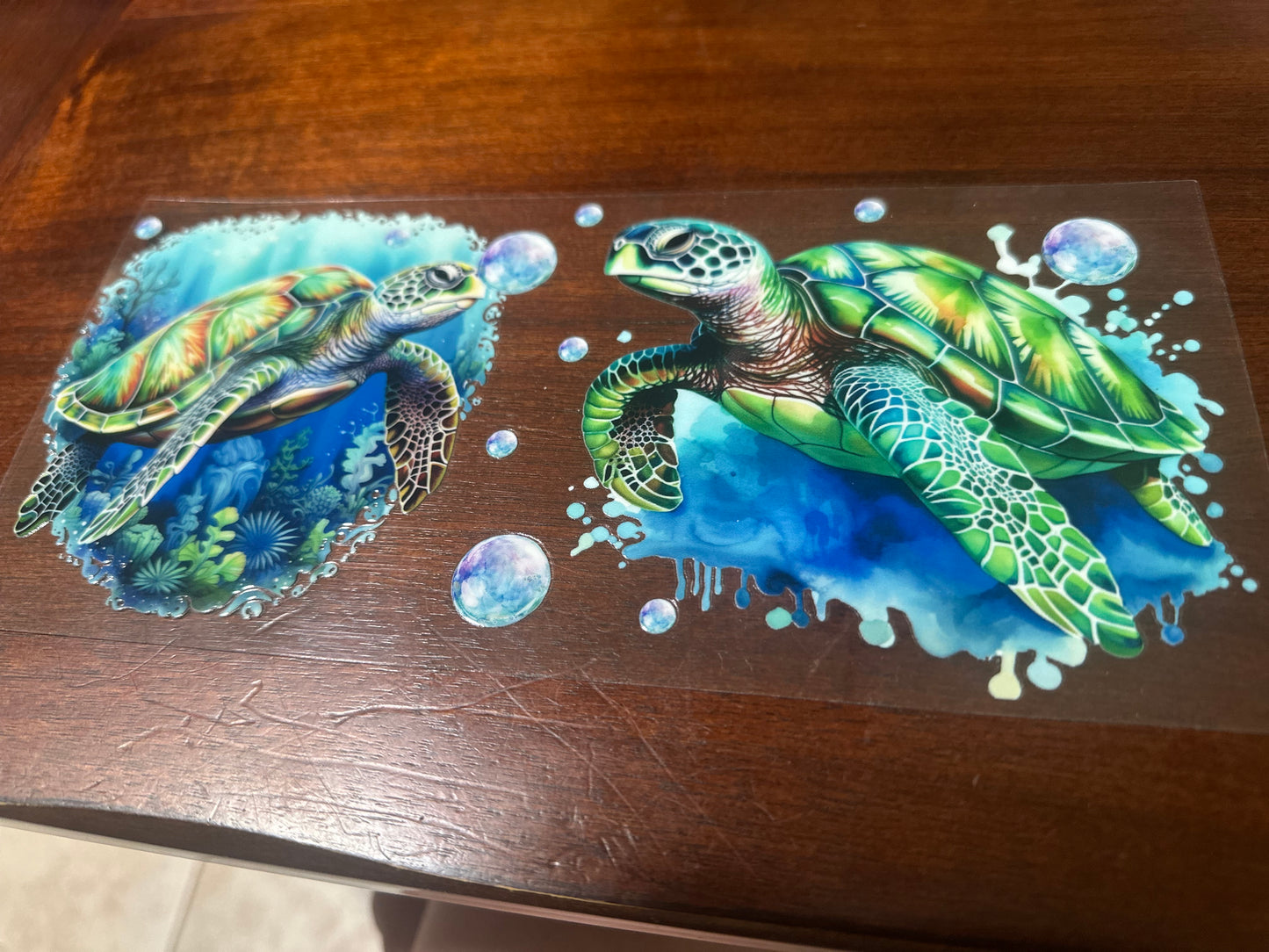 Sea turtles