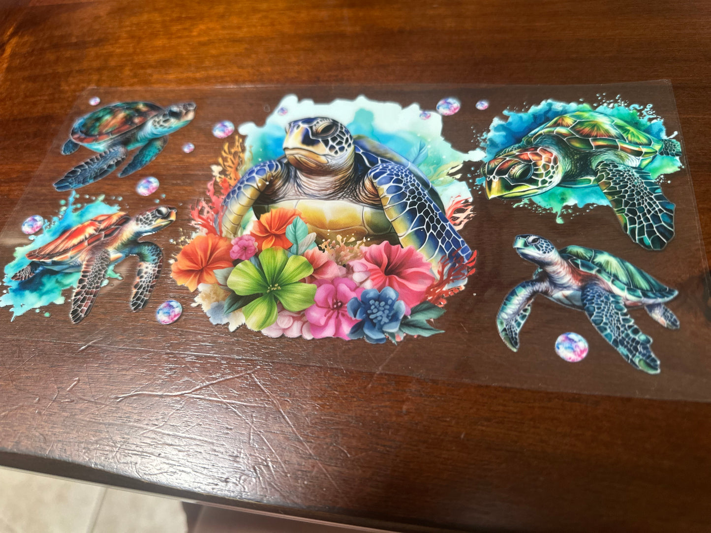Sea turtle