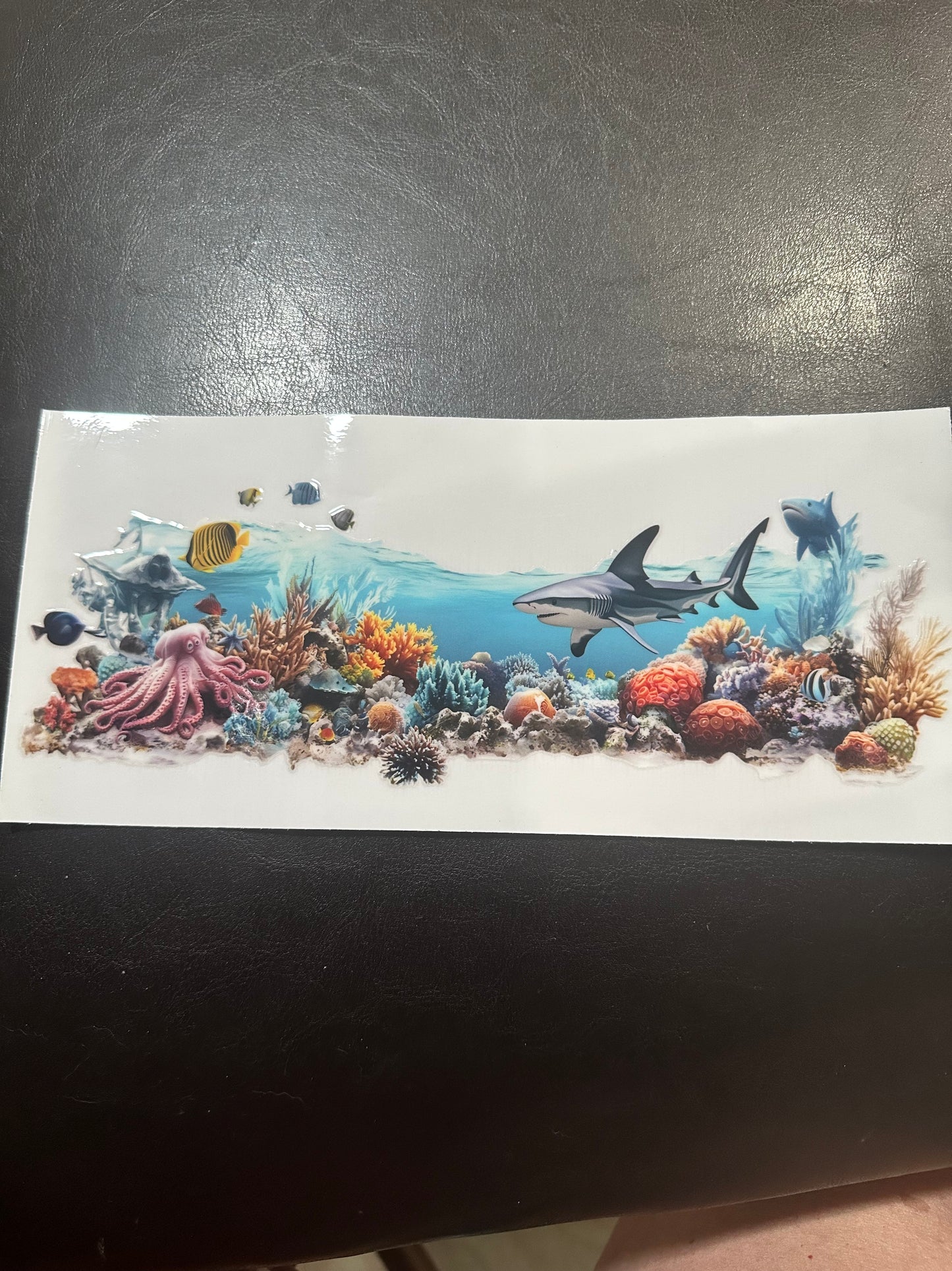 Shark reef