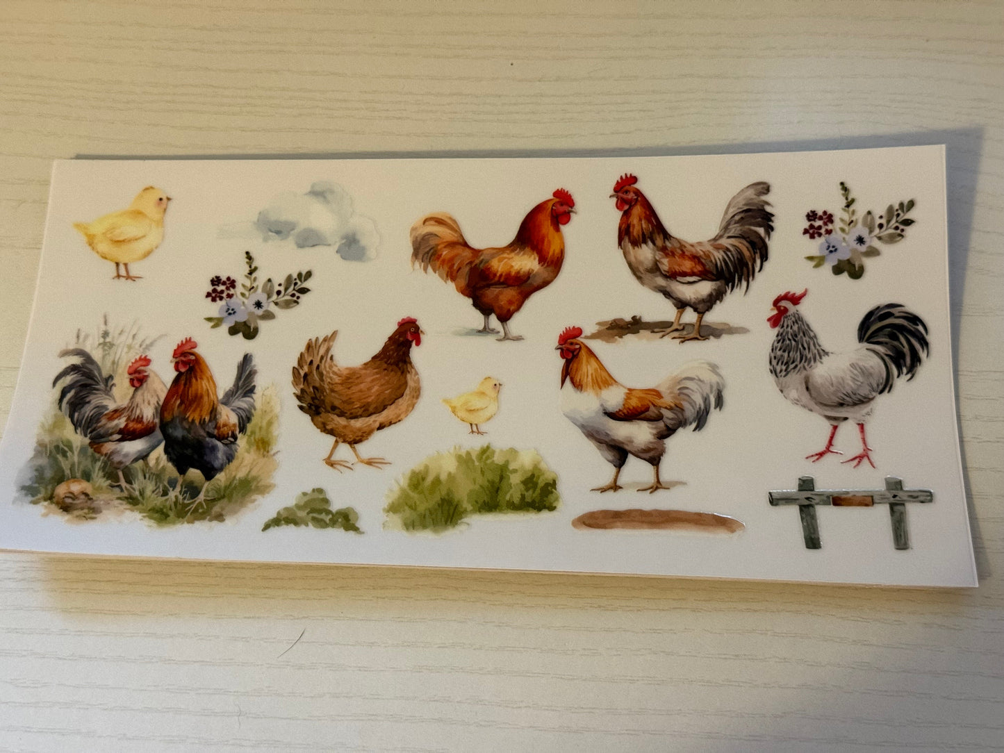 Chickens