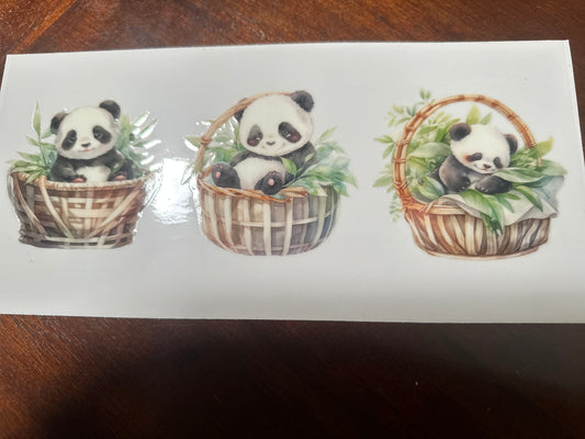 Panda bears
