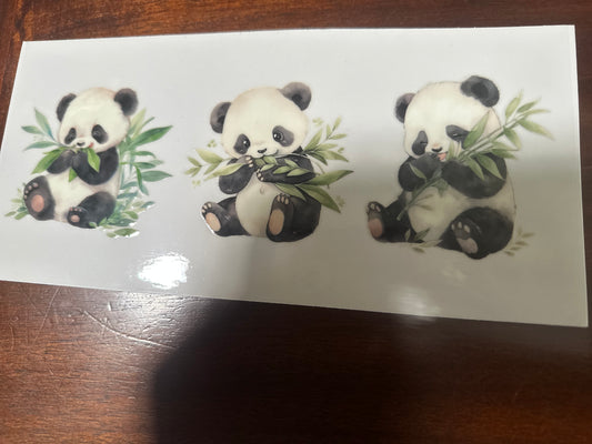 Panda bears