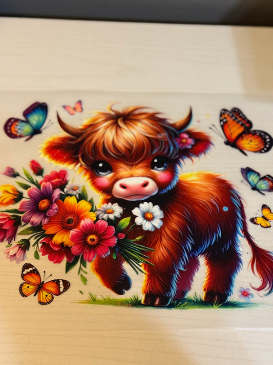 Highland cow and flowers