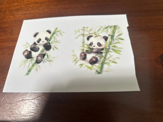Panda bears