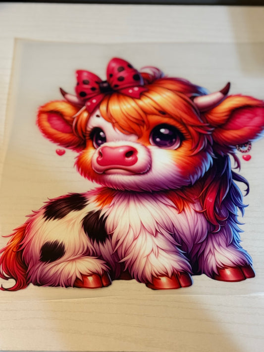 Highland Cow