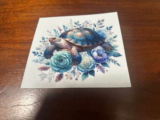 Sea turtle
