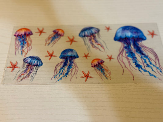 Jellyfish