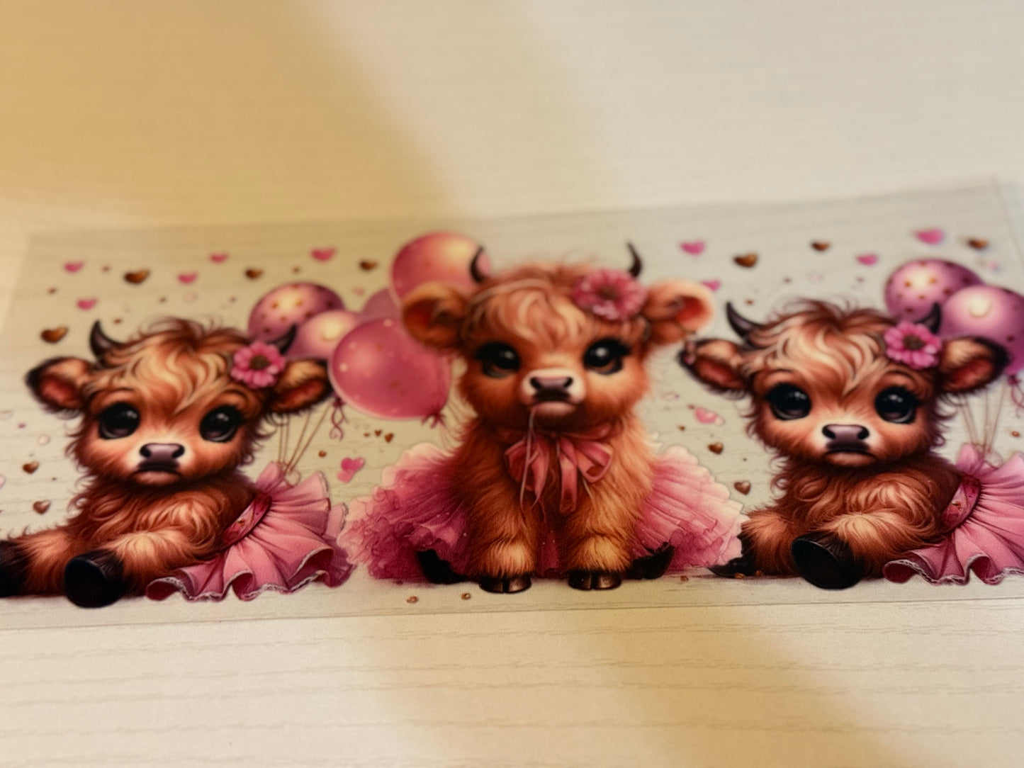 Highland Cows