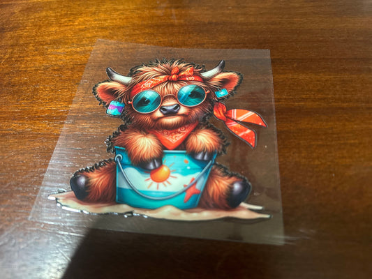 Highland cow
