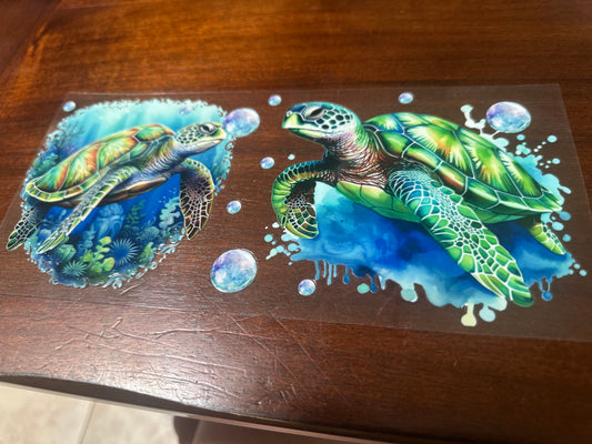 Sea turtles