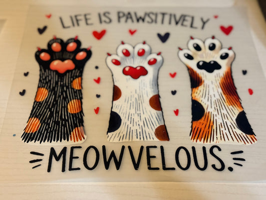 Life is pawsitively meowvelous