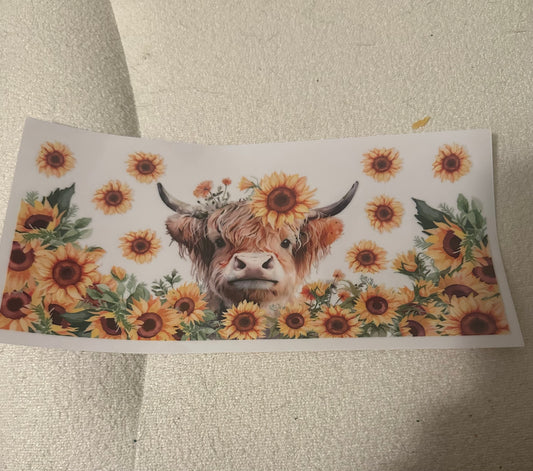Sunflowers highland cow