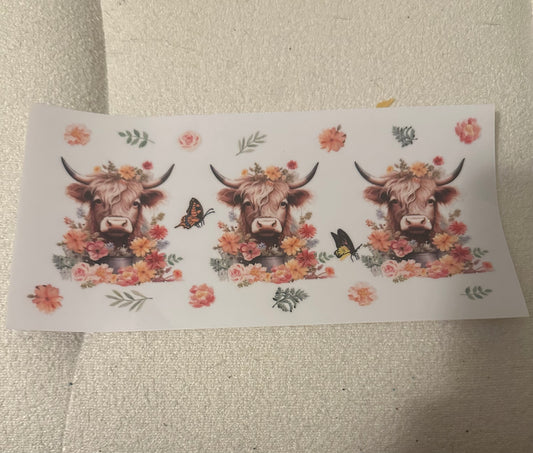 3 highland cows