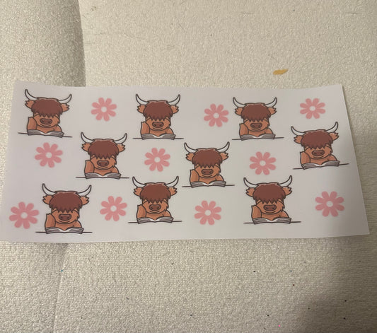 Highland cows