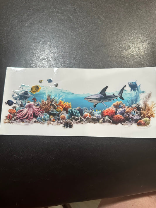 Shark reef