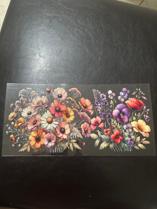 Colorful daisies