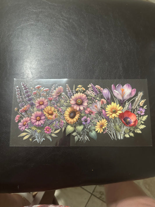 Pink yellow and red daisies