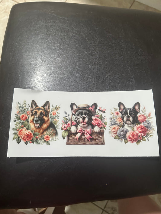 French bull dog and German shepherd