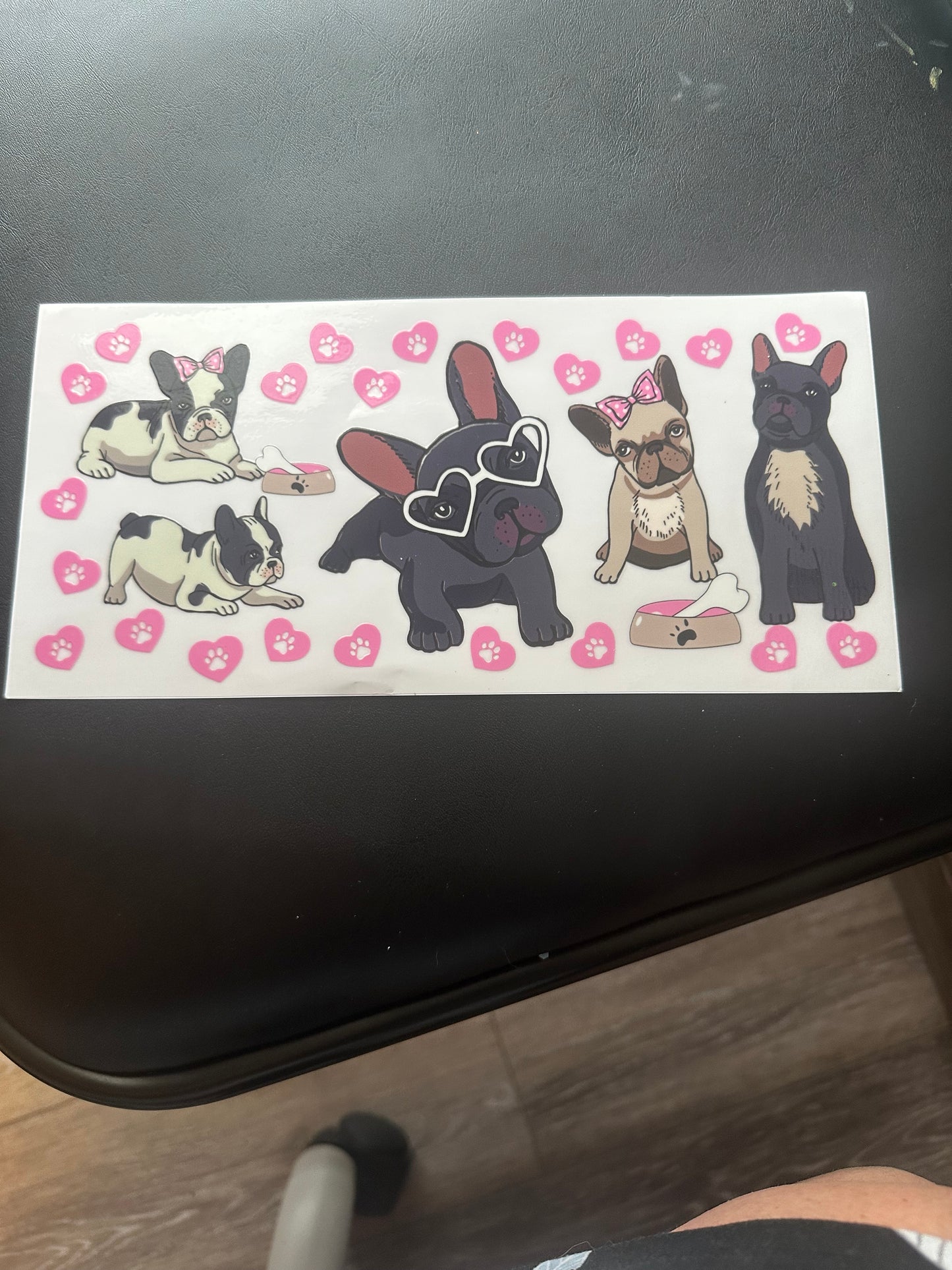 French bulldogs