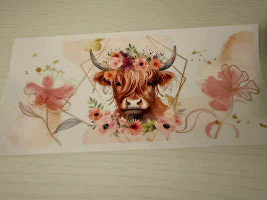 Brown highland cow