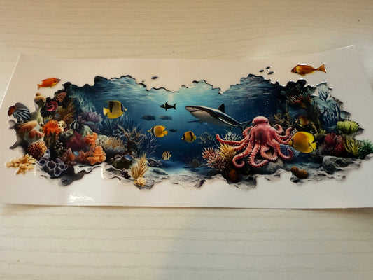 Shark and reef