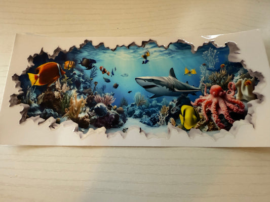 Shark and reef