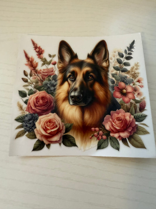 German Shepherd