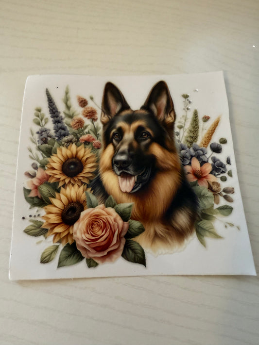 German Shepherd