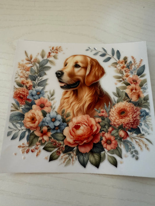 Golden Retriever