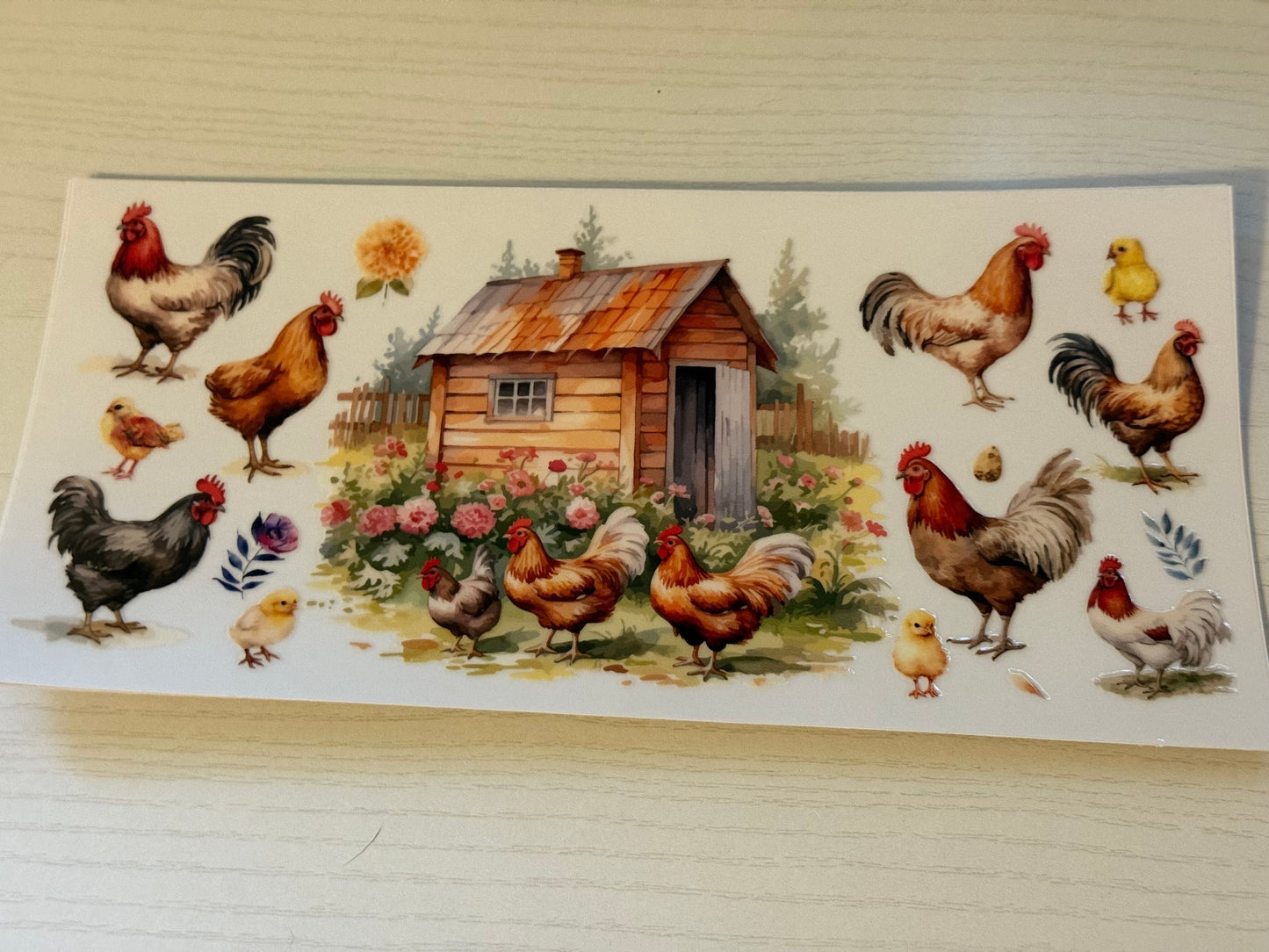 Shed and chickens